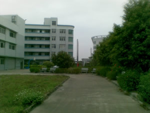c6.jpg